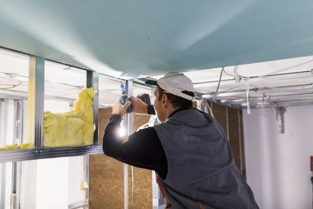 Best Commercial Insulation in Meeker, OK