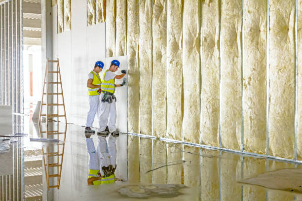 Best Insulation Maintenance and Repair in Meeker, OK